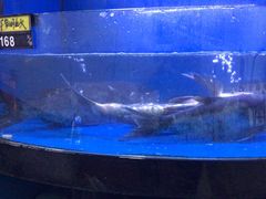 -浙江紫晶大酒店(四季青店)