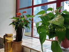 -蛙一刀·麻椒鱼火锅(金仙桥店)
