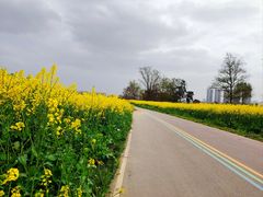 -海霸王西部食品物流园区(阳光北路)