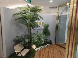 点击看大图 -八佰伴8008星级形象店