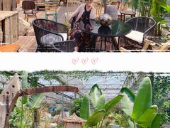 -桉树林A coffee 森林餐厅(三圣乡店)