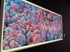 -罗红摄影艺术馆