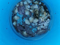 -珠海金沙滩