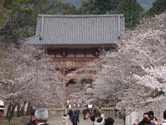 -醍醐寺