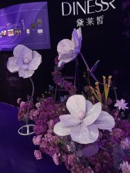-黛莱皙护肤美妆