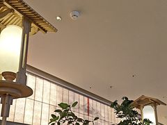 -桂满陇·蟹黄小笼汤包(巴黎春天浦建店)