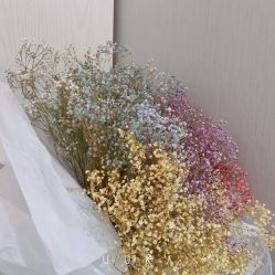 -赫本轻奢美颜中心