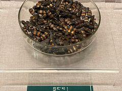 -青海藏文化博物院