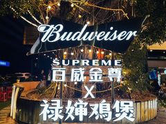 -禄婶鸡煲·打边炉