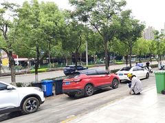 -金塔傣乡·云南民族特色菜·傣味手抓饭(金瓦路店)