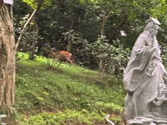-广州市白云山风景名胜区