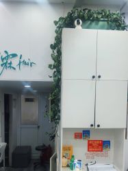 -青霖·飘逸造型
