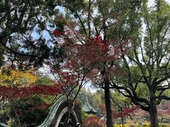 -申粤轩酒楼·三十年粤菜经典(丁香花园店)