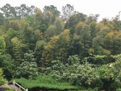 -九龙潭景区