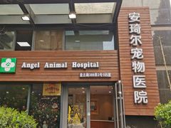 -爱侣·安琦尔宠物医院·中兽医针灸·心内科·狂犬免疫点(宝山区院)