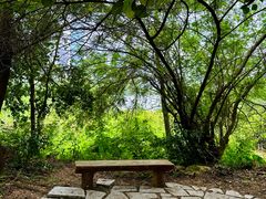 -华侨城湿地公园