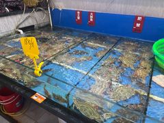 -红高粱海鲜大排档(福成路店)