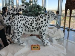 -IMON·HANSA潮玩玩偶毛绒玩具(通州万象汇店)