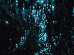 -怀托摩萤火虫洞