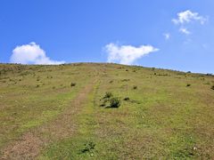 -大姆山草场
