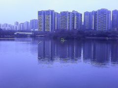 -三圣花乡旅游区