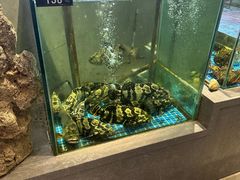 -宴小馆·小海鲜青岛菜(五四广场店)