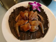 荷香蒸乳鸽-桃花源小厨