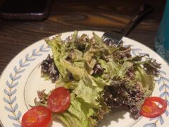 -The Cheebat 锌吧·Bistro(体育西店)
