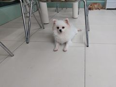 -怪兽屋·羊驼·猫咖·狗咖(俊华广场店)