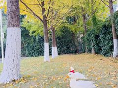 -金陵图书馆