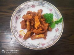 -田螺阿姨自营月嫂·育儿嫂(高新店)