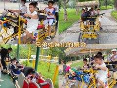 -石家庄市植物园