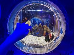 -海合安成都极地海洋公园