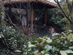 -苏州湾王焰温泉度假酒店