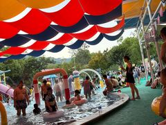 -苏州乐园森林水世界