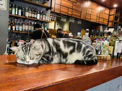 -咖法森林·咖啡  酒吧(天河店)