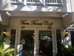 -Fern Forest Cafe
