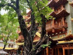 -大佛寺高级素食自助餐厅