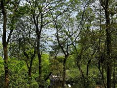 -岳麓山风景名胜区