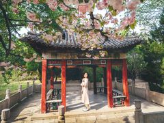 -淄博聊斋城景区