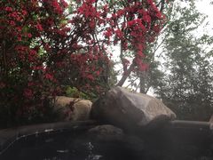 -七彩云南古滇温泉山庄