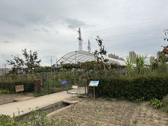 -菊园百果园