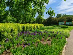 -永定河休闲森林公园