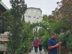 -The Grounds of Alexandria