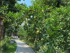 -西安汉城湖景区