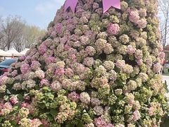 -苏州上方山国家森林公园