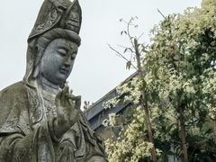 -雅安上里古镇