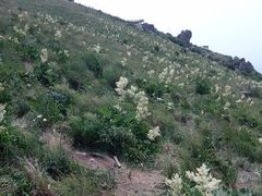 -白草畔自然风景区