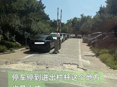 -养马岛旅游度假区