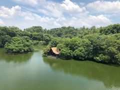 -广州长隆野生动物世界
